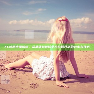 XL运用全面解析，从基础到进阶全方位提升您的效率与技巧