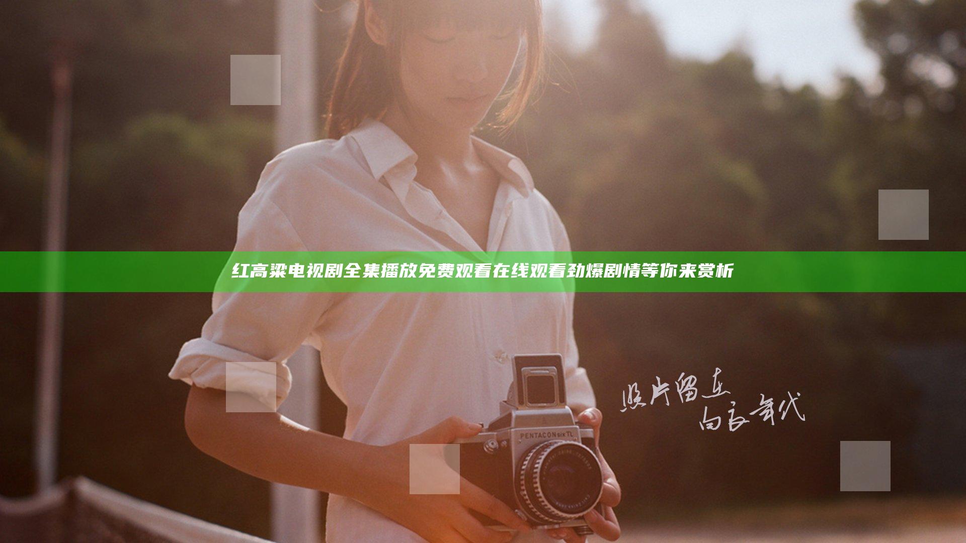 红高粱电视剧全集播放免费观看在线观看 劲爆剧情等你来赏析