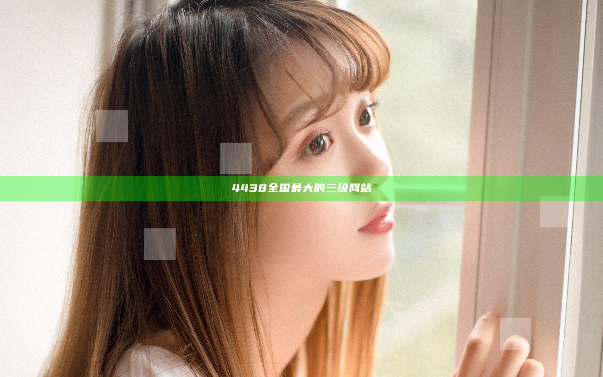 4438全国最大的三级网站